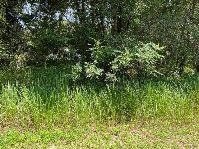 Plot For Sale In Ocala, Florida