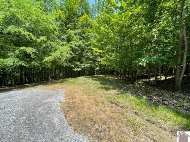 Plot For Sale In Cadiz, Kentucky