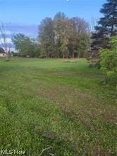 Plot For Sale In Lodi, Ohio