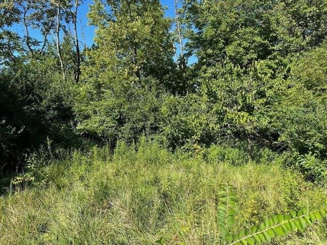 Plot For Sale In Cincinnati, Ohio