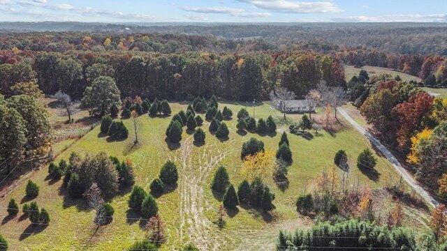 Plot For Sale In partson, Tennessee