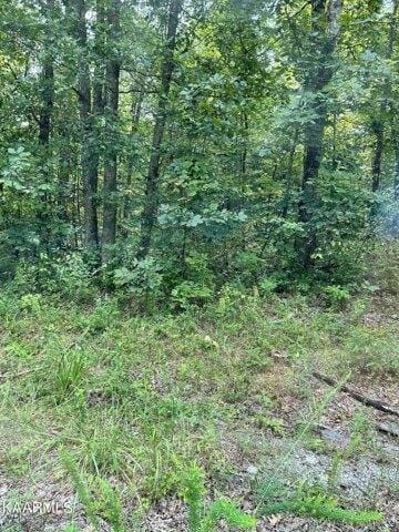 Plot For Sale In Crossville, Tennessee