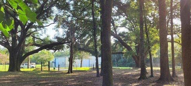Plot For Sale In Lumberton, Mississippi