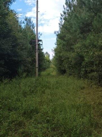 Plot For Sale In Blue Springs, Alabama