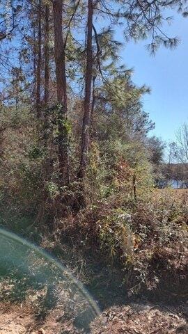 Plot For Sale In Lumberton, Mississippi