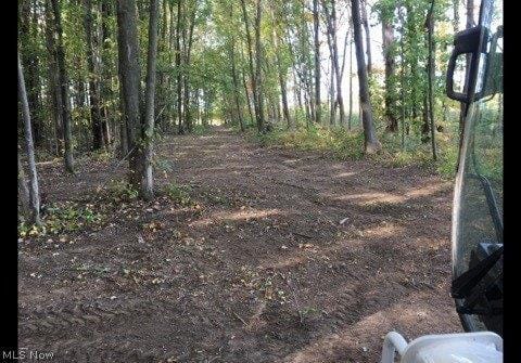 Plot For Sale In Madison, Ohio