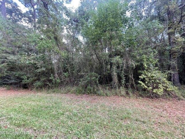 Plot For Sale In Gautier, Mississippi