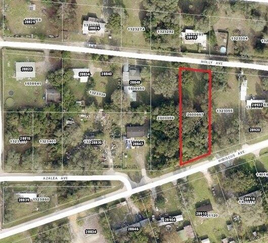 Plot For Sale In Paisley, Florida