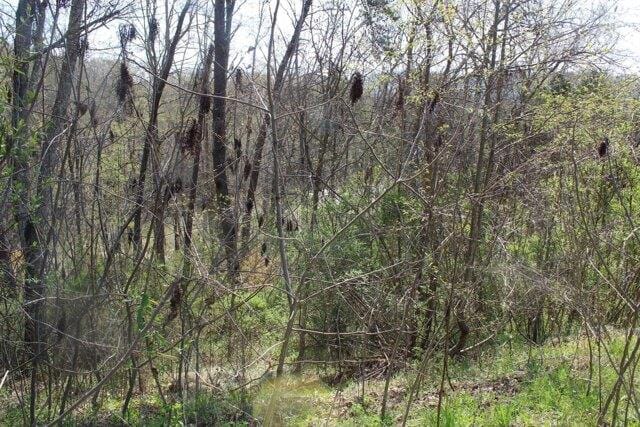Plot For Sale In Bean Station, Tennessee