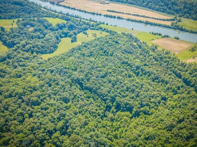 Plot For Sale In Rogersville, Tennessee