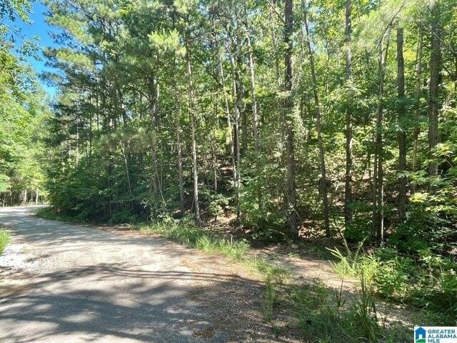 Plot For Sale In Wedowee, Alabama