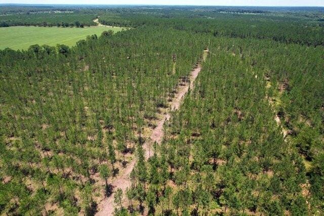 Plot For Sale In Wilmer, Alabama
