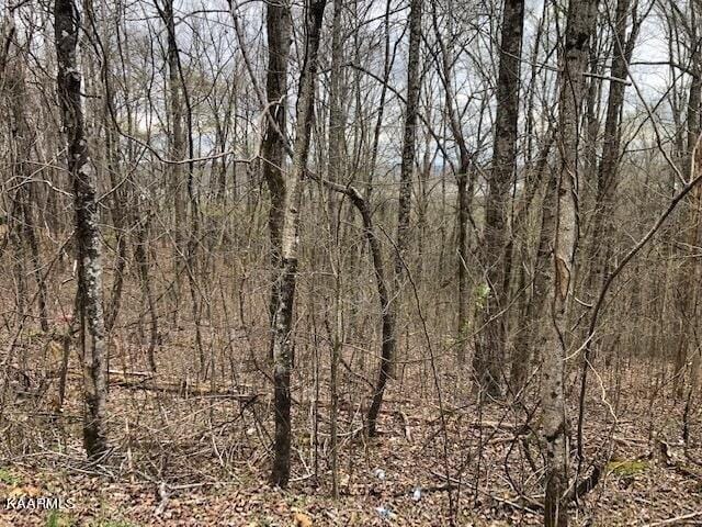 Plot For Sale In Spring City, Tennessee