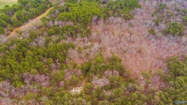 Plot For Sale In Fort Payne, Alabama