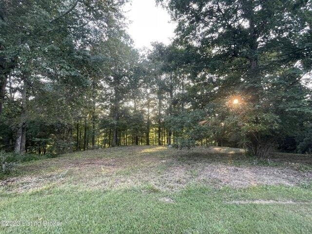 Plot For Sale In Leitchfield, Kentucky