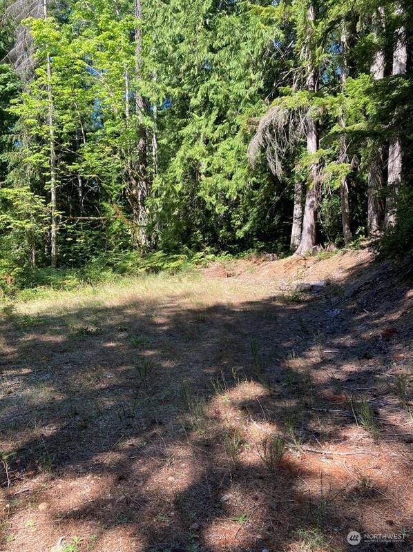 531 N Dow Mountain Rd, Hoodsport, WA 98548 - MLS 2151845 for Sale