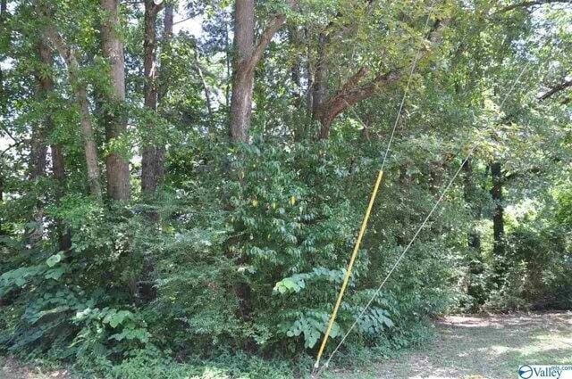 Plot For Sale In Arab, Alabama