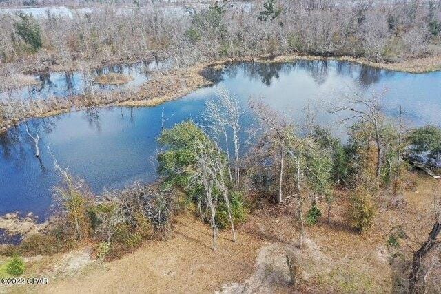 Plot For Sale In Sneads, Florida