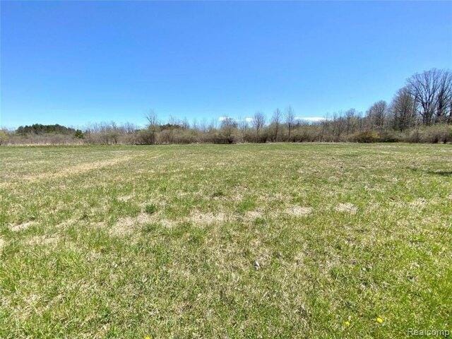 Plot For Sale In Clyde Township, Michigan