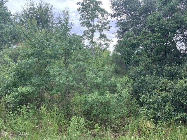 Plot For Sale In Bay Saint Louis, Mississippi