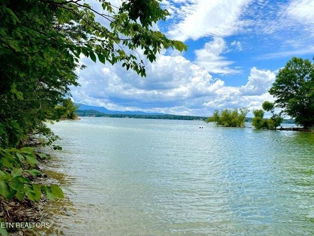 Plot For Sale In Baneberry, Tennessee