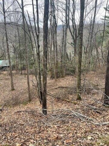 Plot For Sale In Waynesville, North Carolina