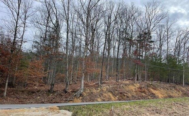 Plot For Sale In Sevierville, Tennessee