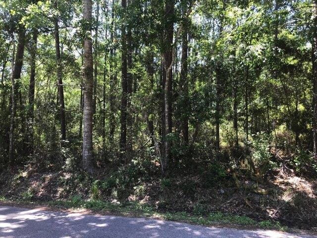 Plot For Sale In Ocean Springs, Mississippi