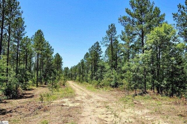 Plot For Sale In Pauline, South Carolina