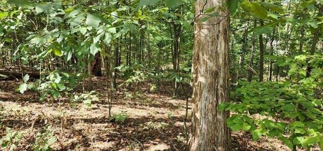 Plot For Sale In Camden, Tennessee