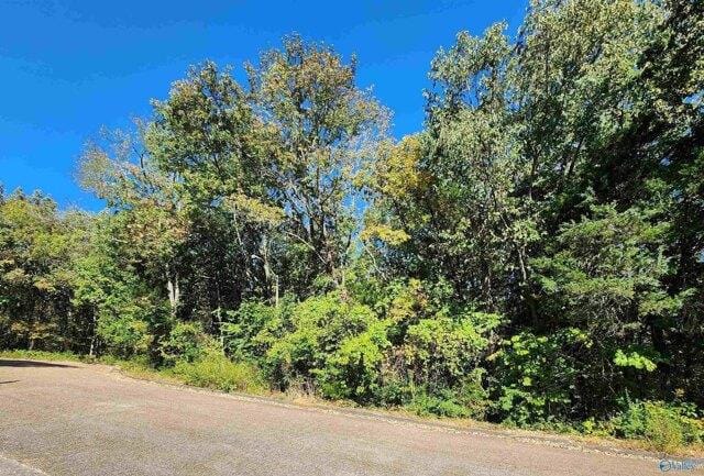 Plot For Sale In Huntsville, Alabama