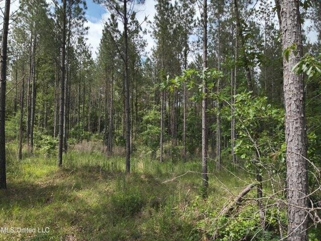 Plot For Sale In Sallis, Mississippi