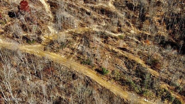 Plot For Sale In Oneida, Tennessee