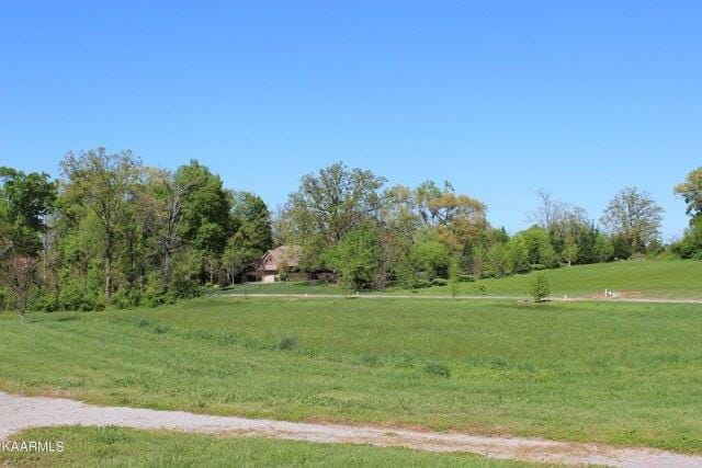 Plot For Sale In Madisonville, Tennessee
