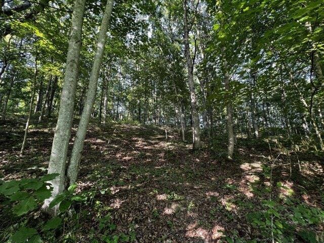Plot For Sale In Wilkesville, Ohio