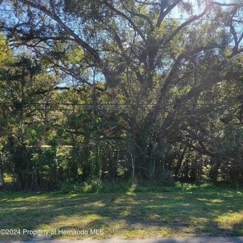 Plot For Sale In Brooksville, Florida