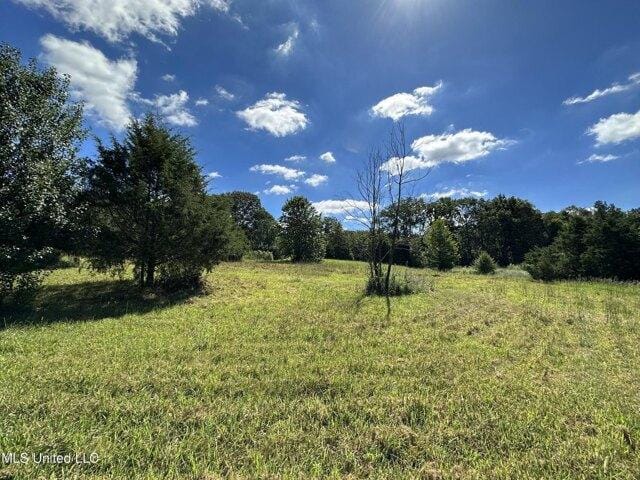 Plot For Sale In Byhalia, Mississippi