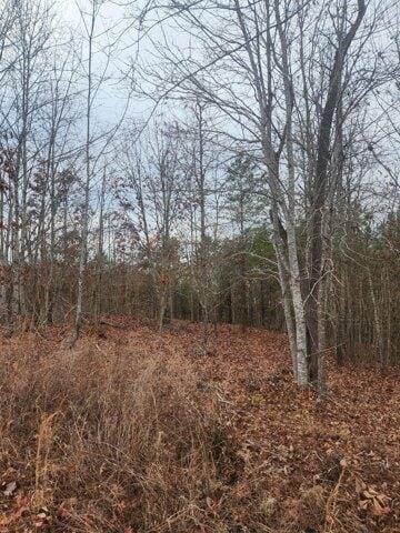 Plot For Sale In Ten Mile, Tennessee