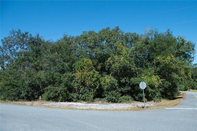 Plot For Sale In Ocala, Florida