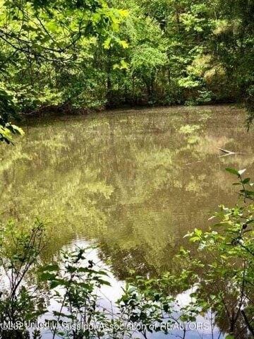 Plot For Sale In Byhalia, Mississippi