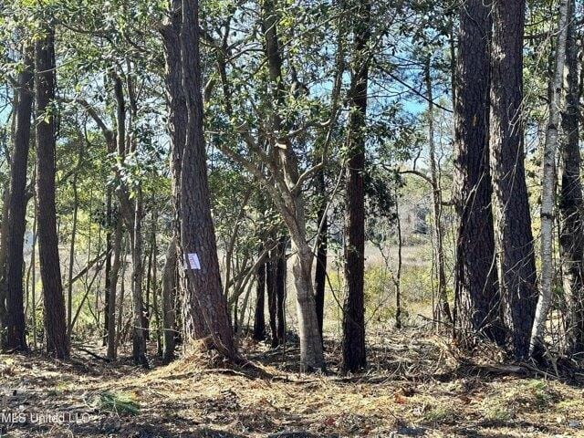 Plot For Sale In Ocean Springs, Mississippi