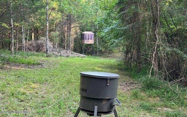 Plot For Sale In Clarkson, Kentucky