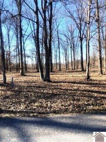 Plot For Sale In Paducah, Kentucky