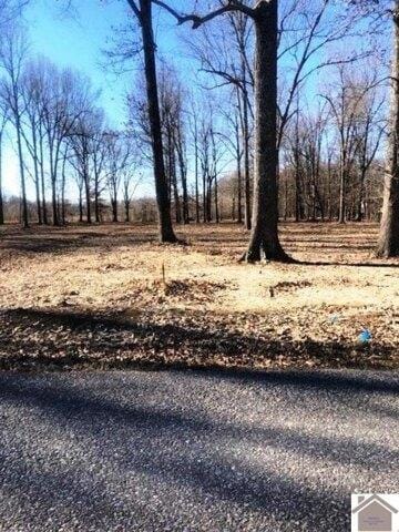 Plot For Sale In Paducah, Kentucky