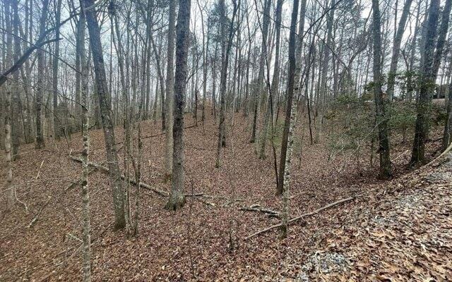 Plot For Sale In Ellijay, Georgia