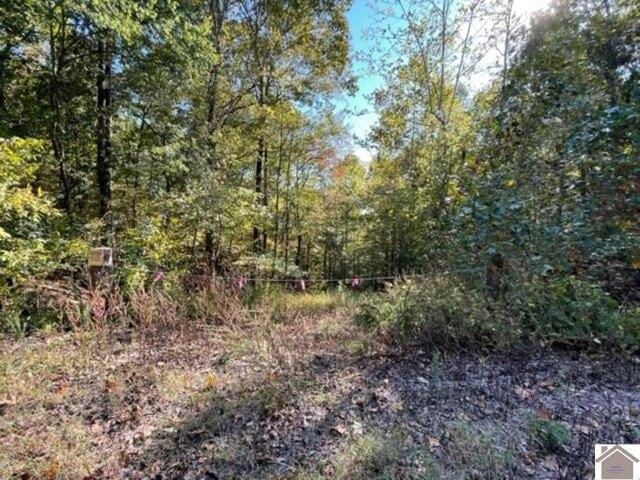 Plot For Sale In Cadiz, Kentucky