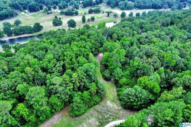 Plot For Sale In Oneonta, Alabama