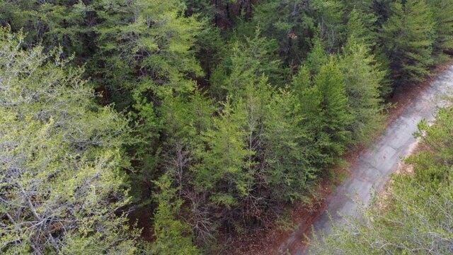 Plot For Sale In Spartanburg, South Carolina