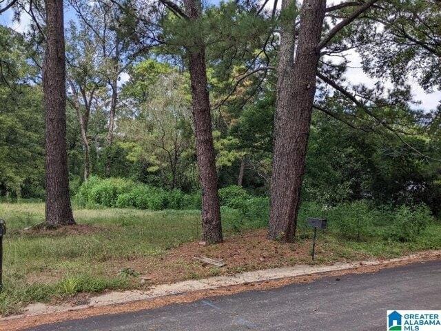 Plot For Sale In Birmingham, Alabama