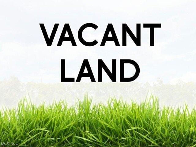 Plot For Sale In Mentor, Ohio